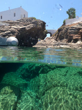 Load image into Gallery viewer, Custom Trip